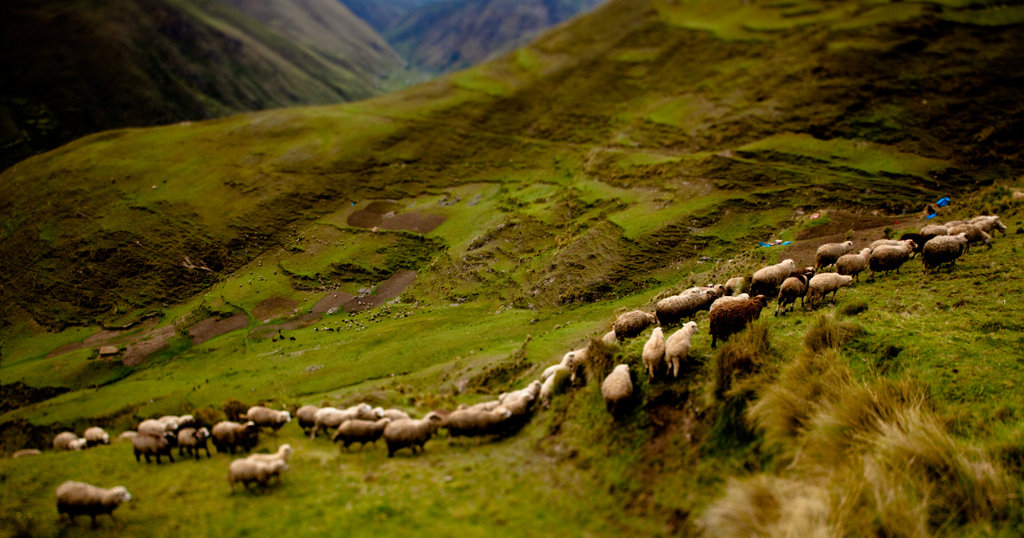 Market access for isolated Andean communities