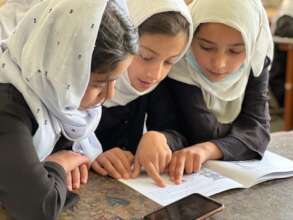 43 % of Library Visitors are Primary School Girls