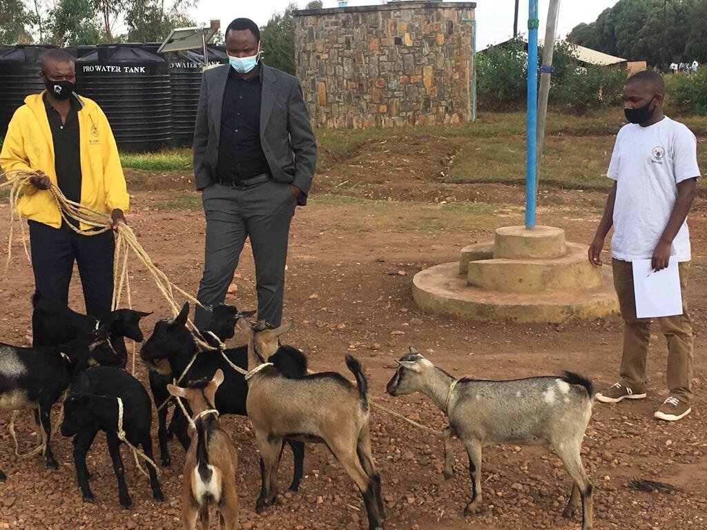 Goat farming project in Burega village, Rwanda