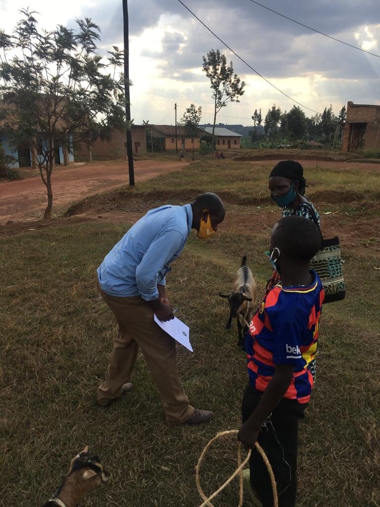 Goat farming project in Burega village, Rwanda