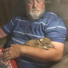 Bob with baby Javelina