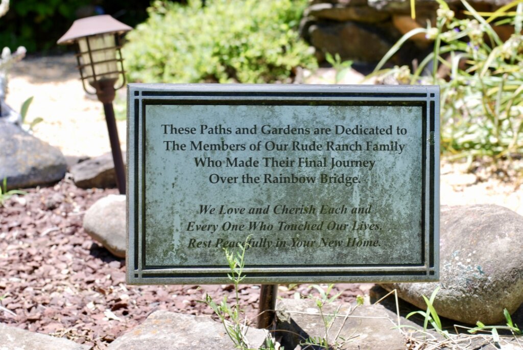 Sanctuary and Care of Abused & Special Needs Cats