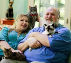 Sanctuary and Care of Abused & Special Needs Cats