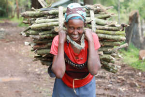 Collecting wood from the forest