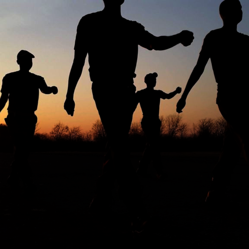 ABCF Conservation projects