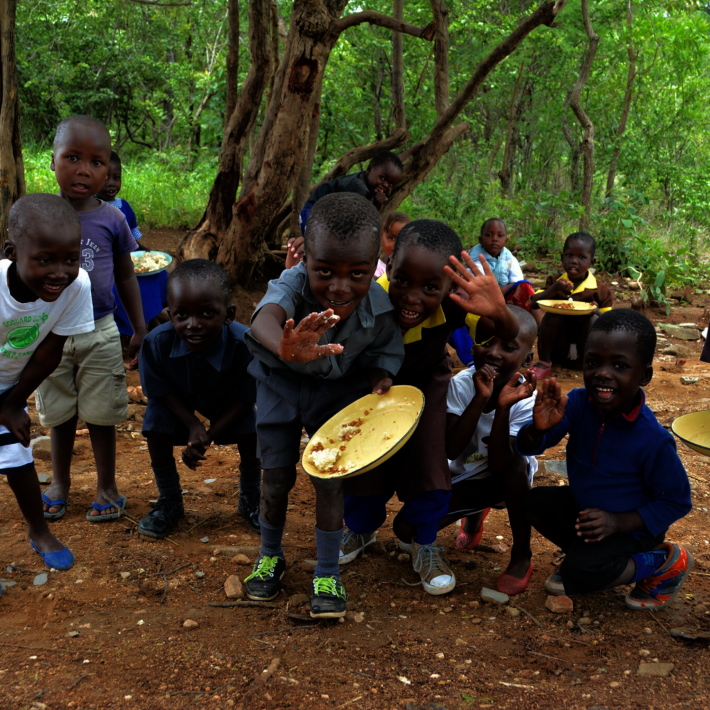 ABCF Conservation projects