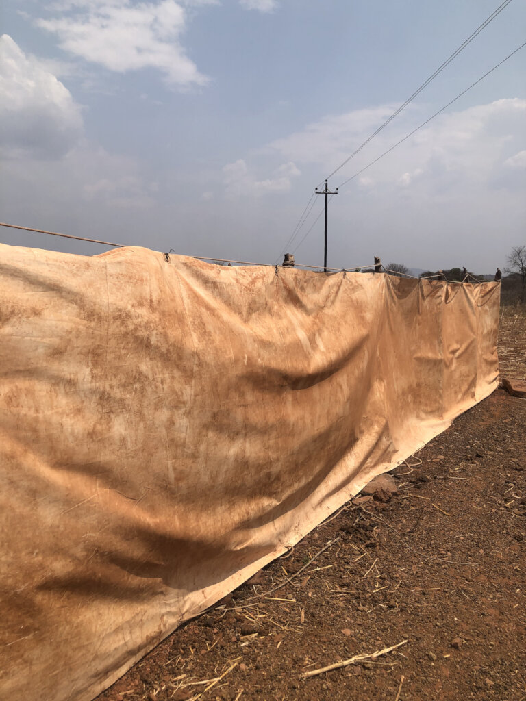 ABCF Conservation projects