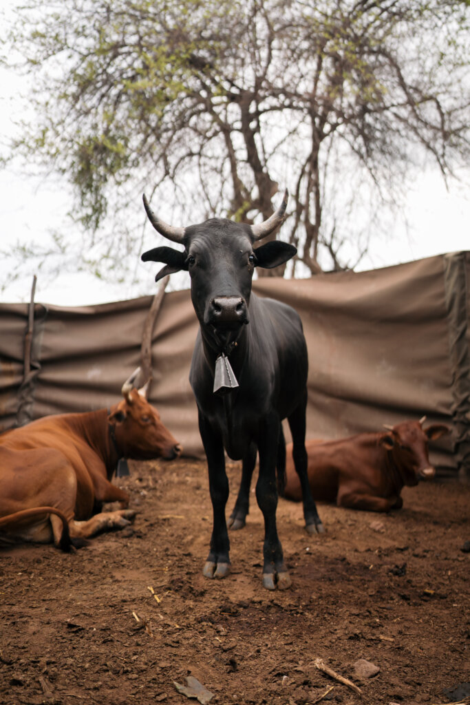 Conservation: Protect, Co-exist, Expand