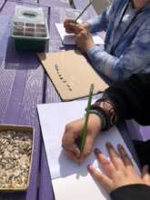 Seed Sketching