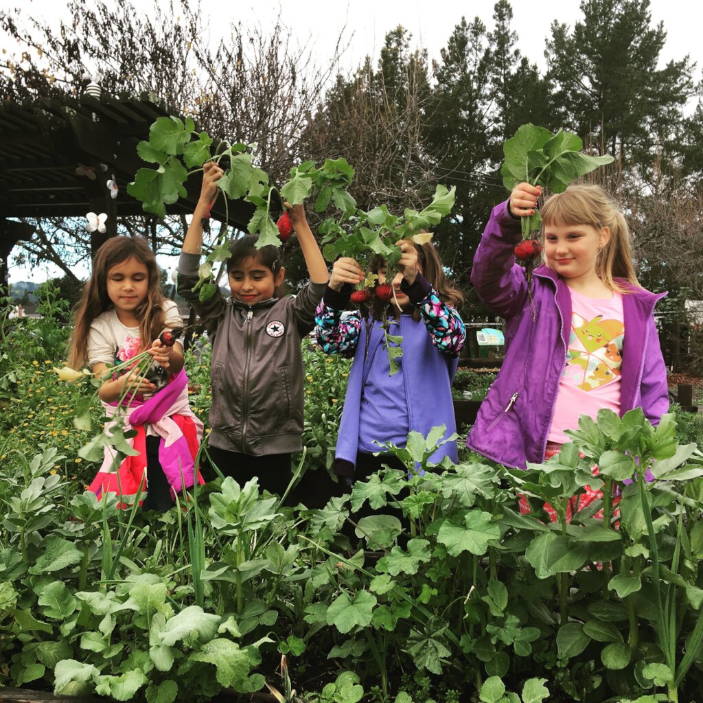 Four "Original" Dirt Girls in 2016