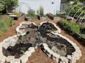 Monarch Waystation @NVLA