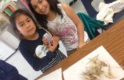 Help Grow the Dirt Girls Greenhouse