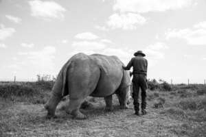 Najin & Zach - her primary caregiver on Ol Pejeta