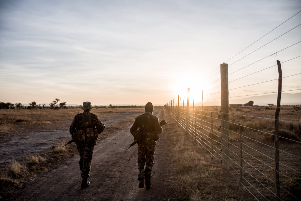 You Can Help Save a Species!