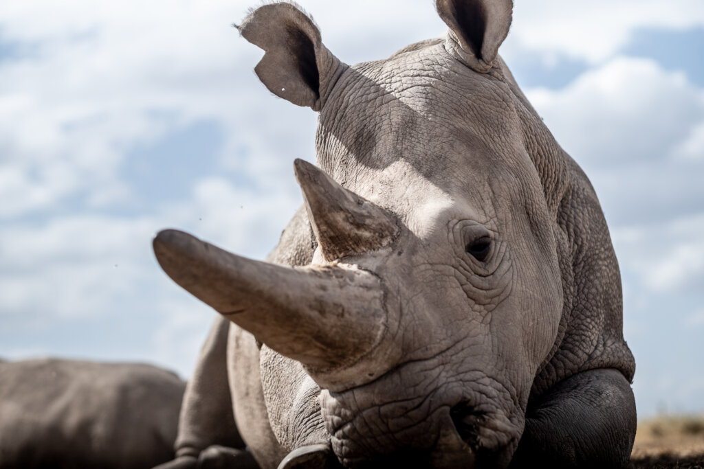 You Can Help Save a Species!