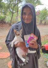 Kitten Dora going home after staying in our care