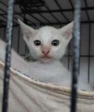Casper has been in our care for almost 2 months