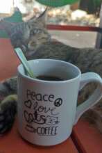 Peace, love, cats and coffee