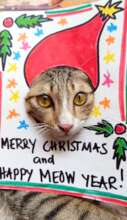 MERRY CHRISTMAS & HAPPY 2024 EVERYONE!