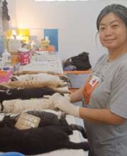 Supervet Rini at work on our May cat clinic