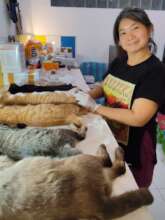 Vet Rini was very busy during our cat clinic