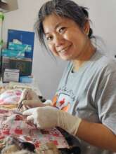 Our supervet Rini busy at work