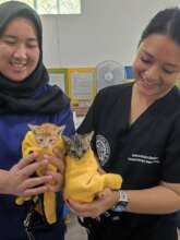 Tiny purrrrrritos visited our clinic