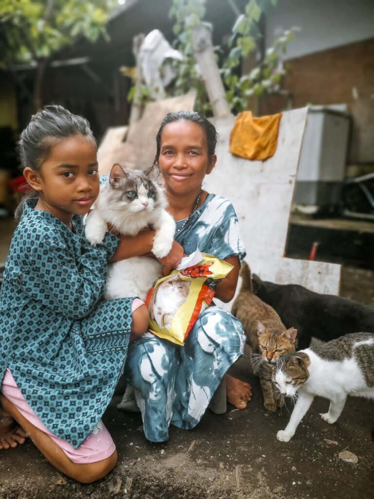 Donate  Cats Of Gili