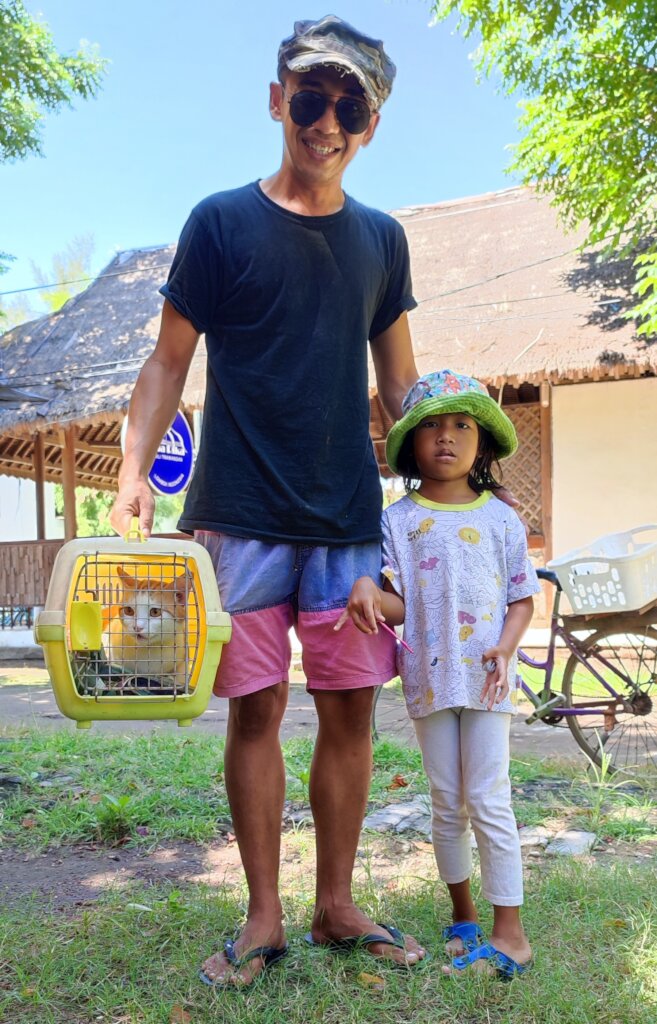 Help us care for cats on Gili islands, Indonesia