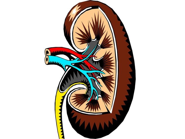 Prevention of Kidney Diseases