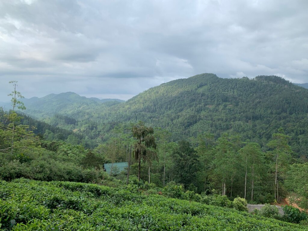 Proposed land for the Conservation Center