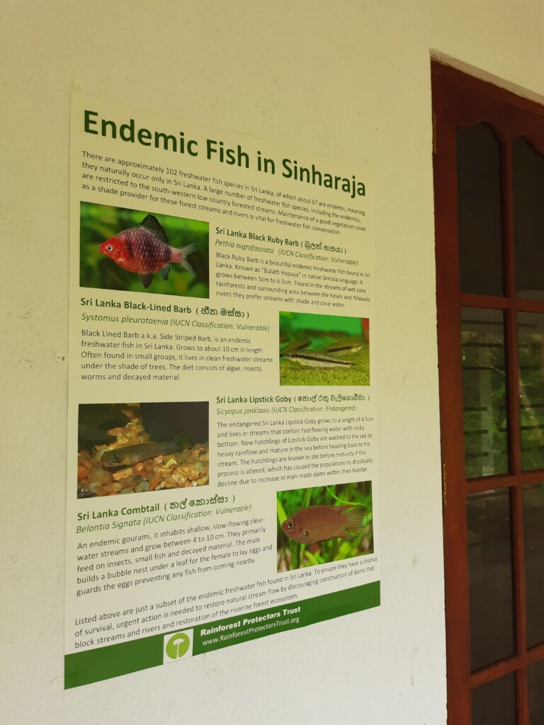 Rainforest Conservation and Education Center