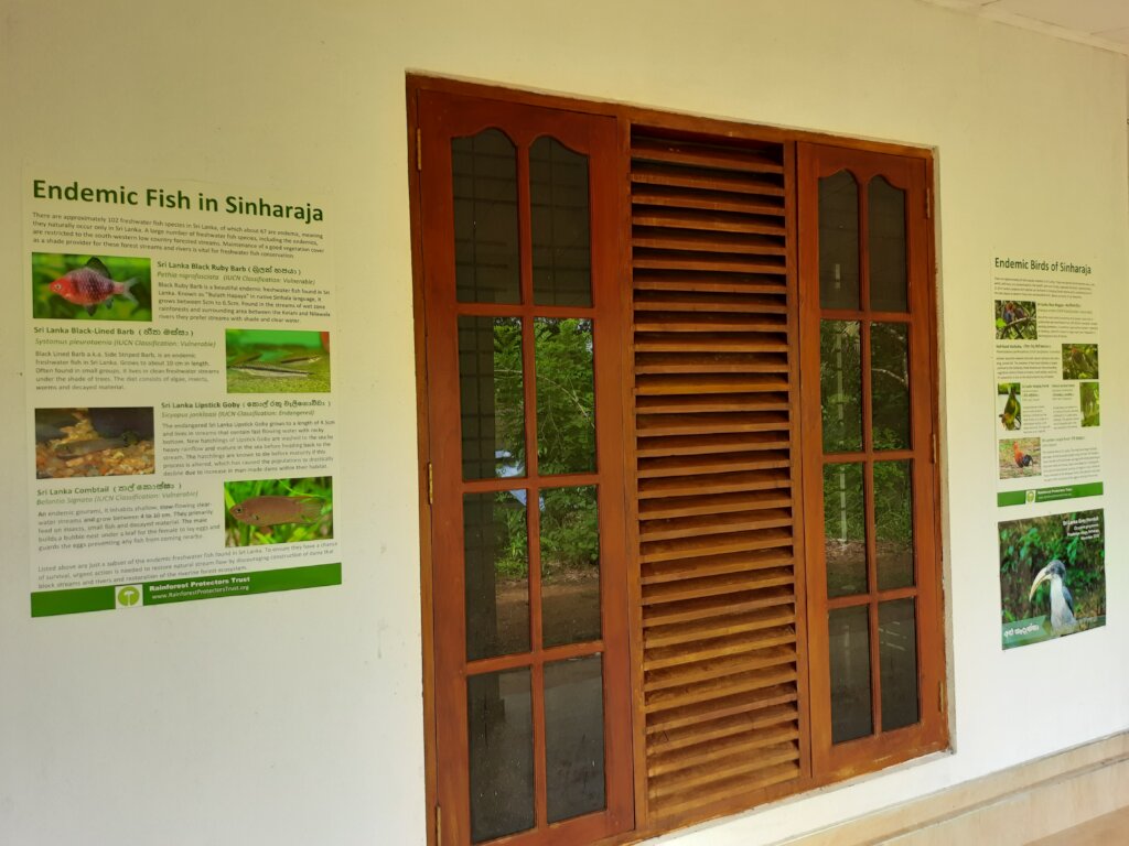 Rainforest Conservation and Education Center