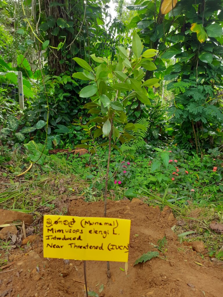 Rainforest Conservation and Education Center