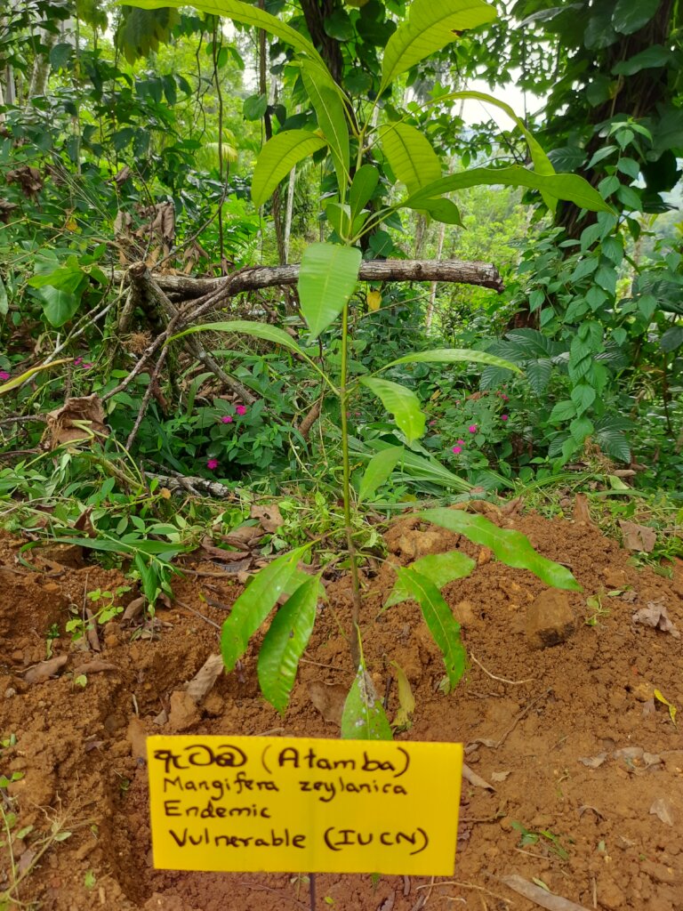Rainforest Conservation and Education Center