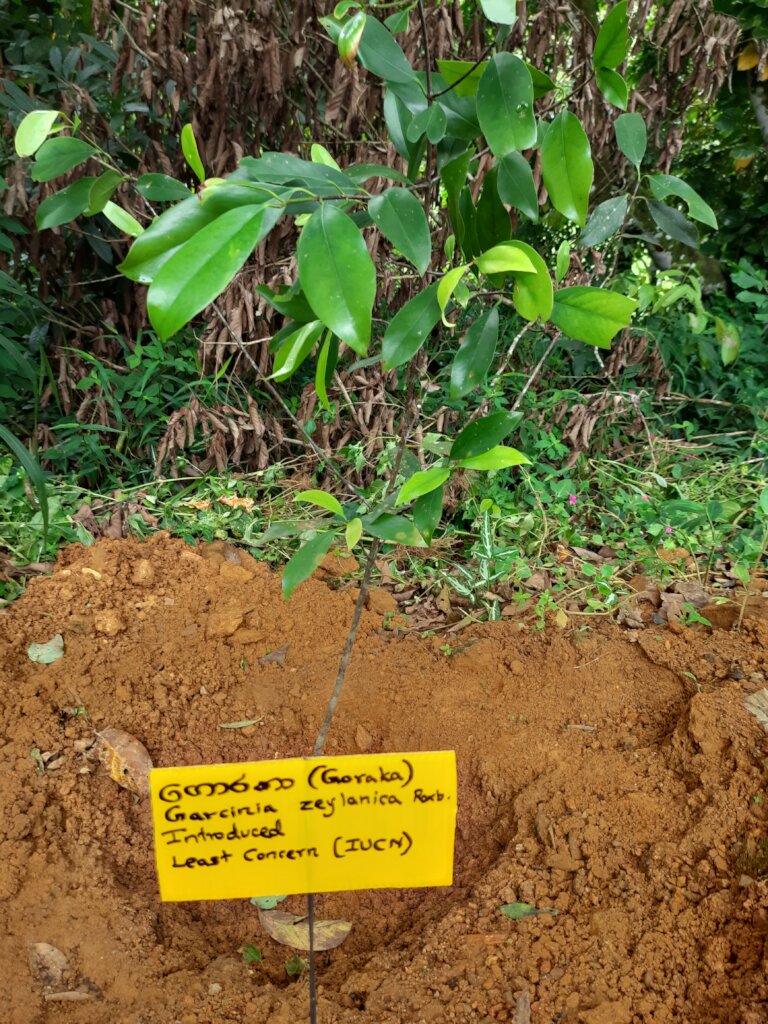 Rainforest Conservation and Education Center