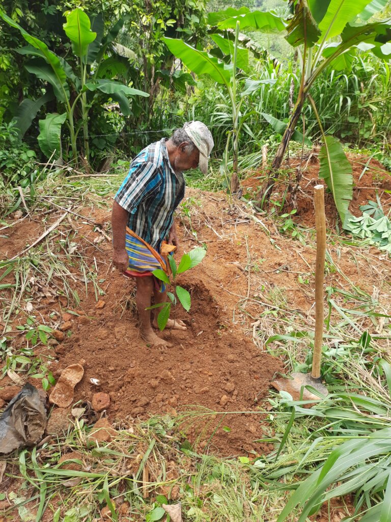 Rainforest Conservation and Education Center