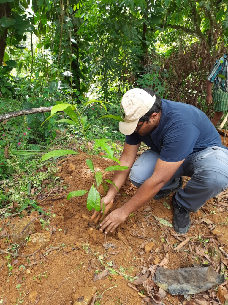 Rainforest Conservation and Education Center