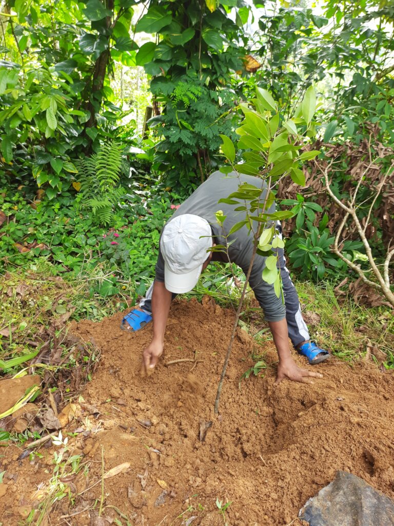 Rainforest Conservation and Education Center