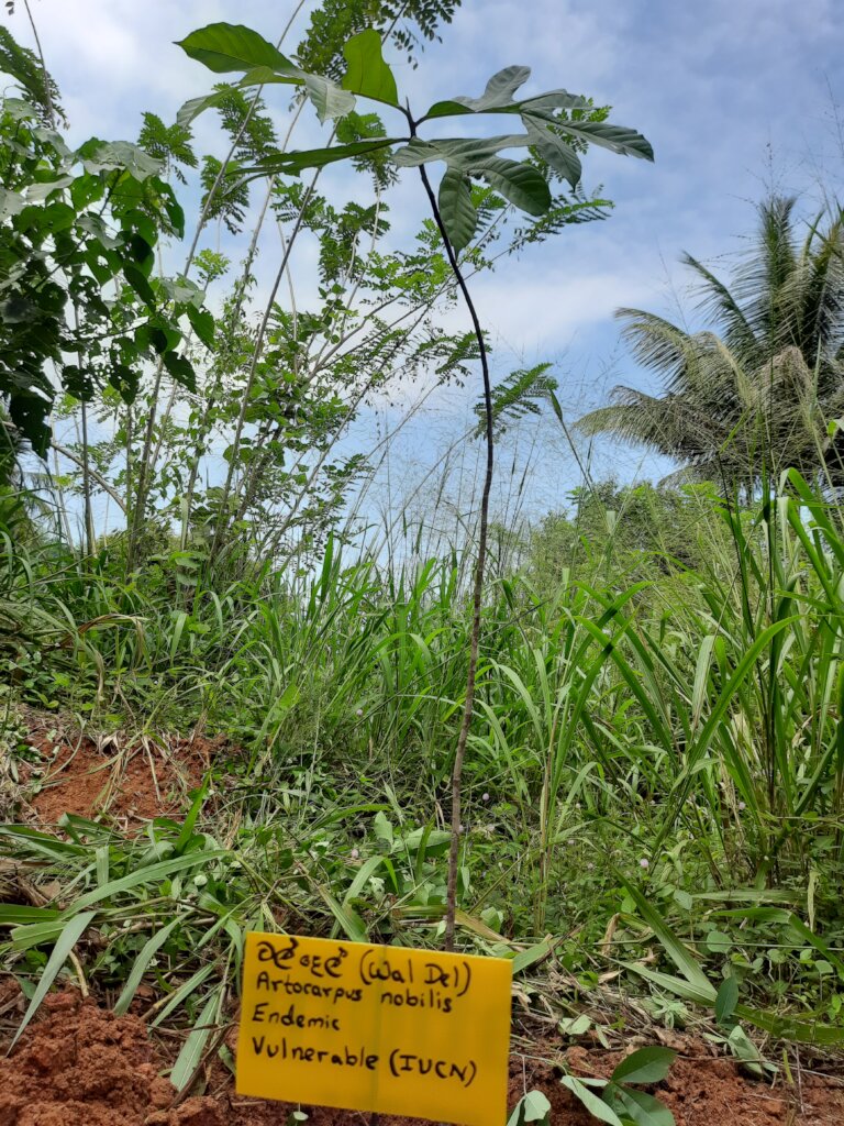 Rainforest Conservation and Education Center
