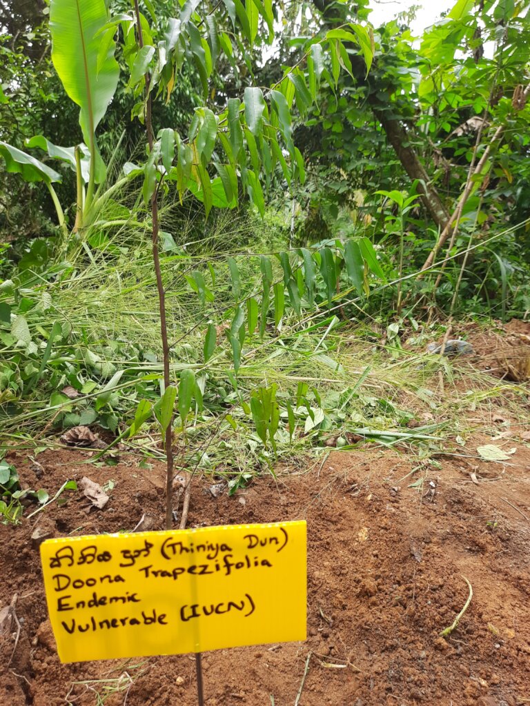 Rainforest Conservation and Education Center