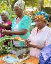 Learning to propagate by root division