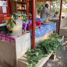 Requests for plant material after each workshop