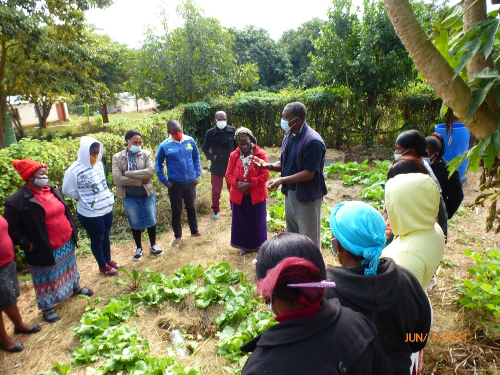 VUSUMNOTFO - Parenting for a Sustainable Future