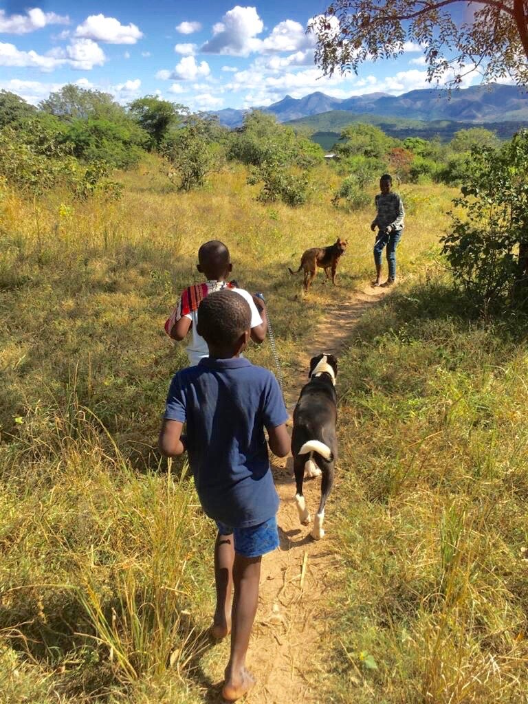 VUSUMNOTFO - Parenting for a Sustainable Future