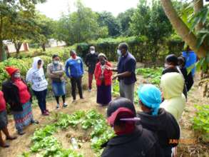 Train in perma-gardening for kitchen gardens