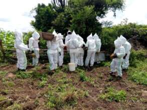 Beekeepers for Life, Empowering 1300 Uganda Women