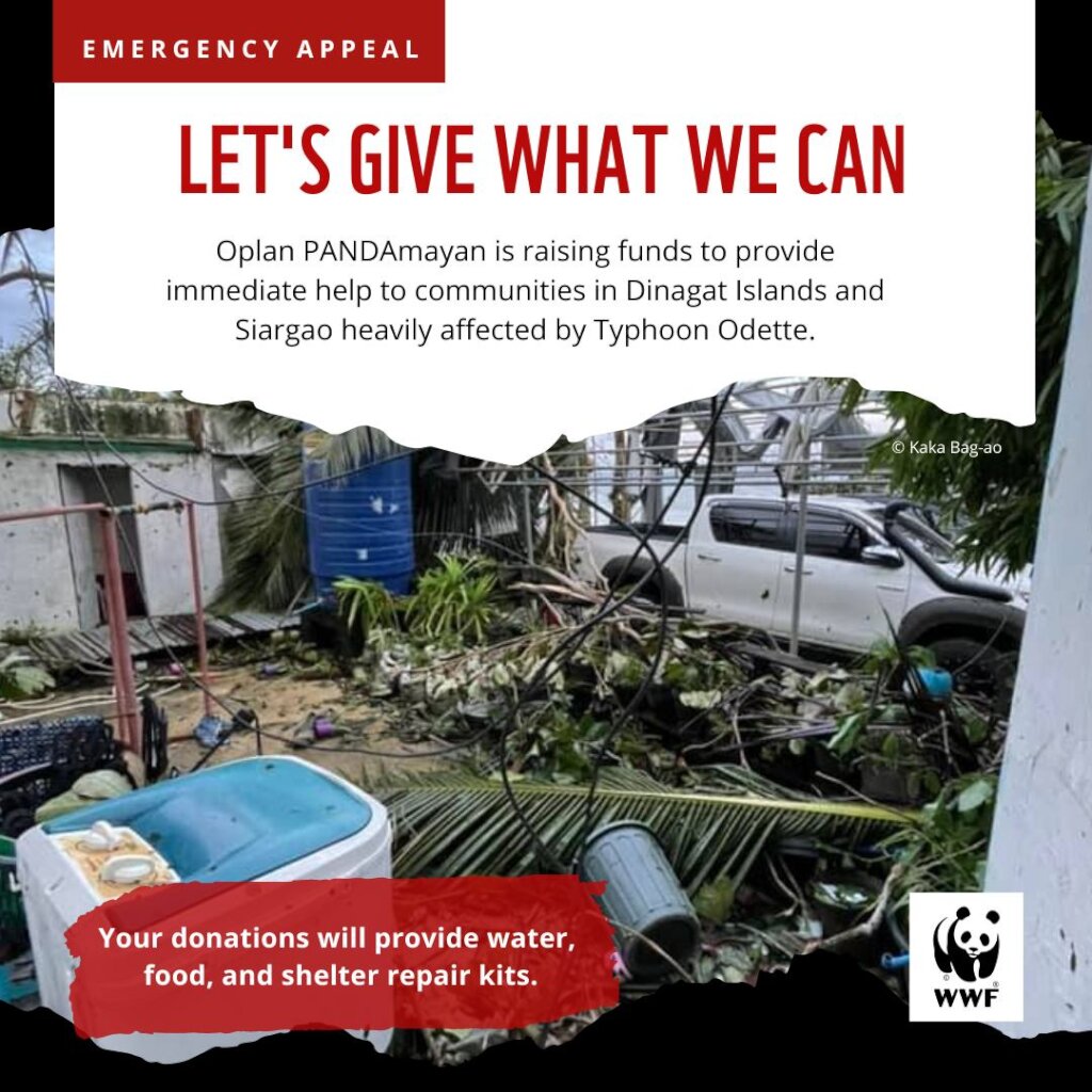 Survivors of Typhoon Odette/Kai Emergency Appeal