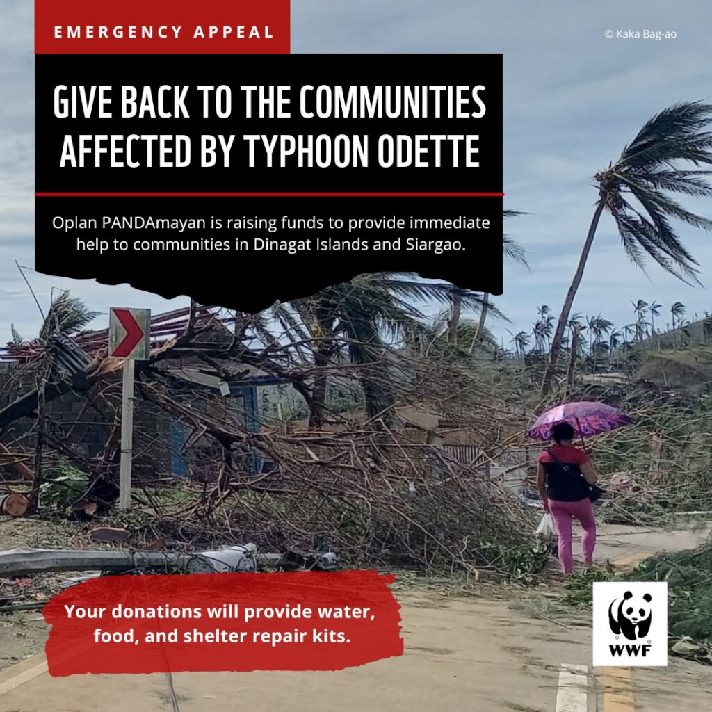 Survivors of Typhoon Odette/Kai Emergency Appeal