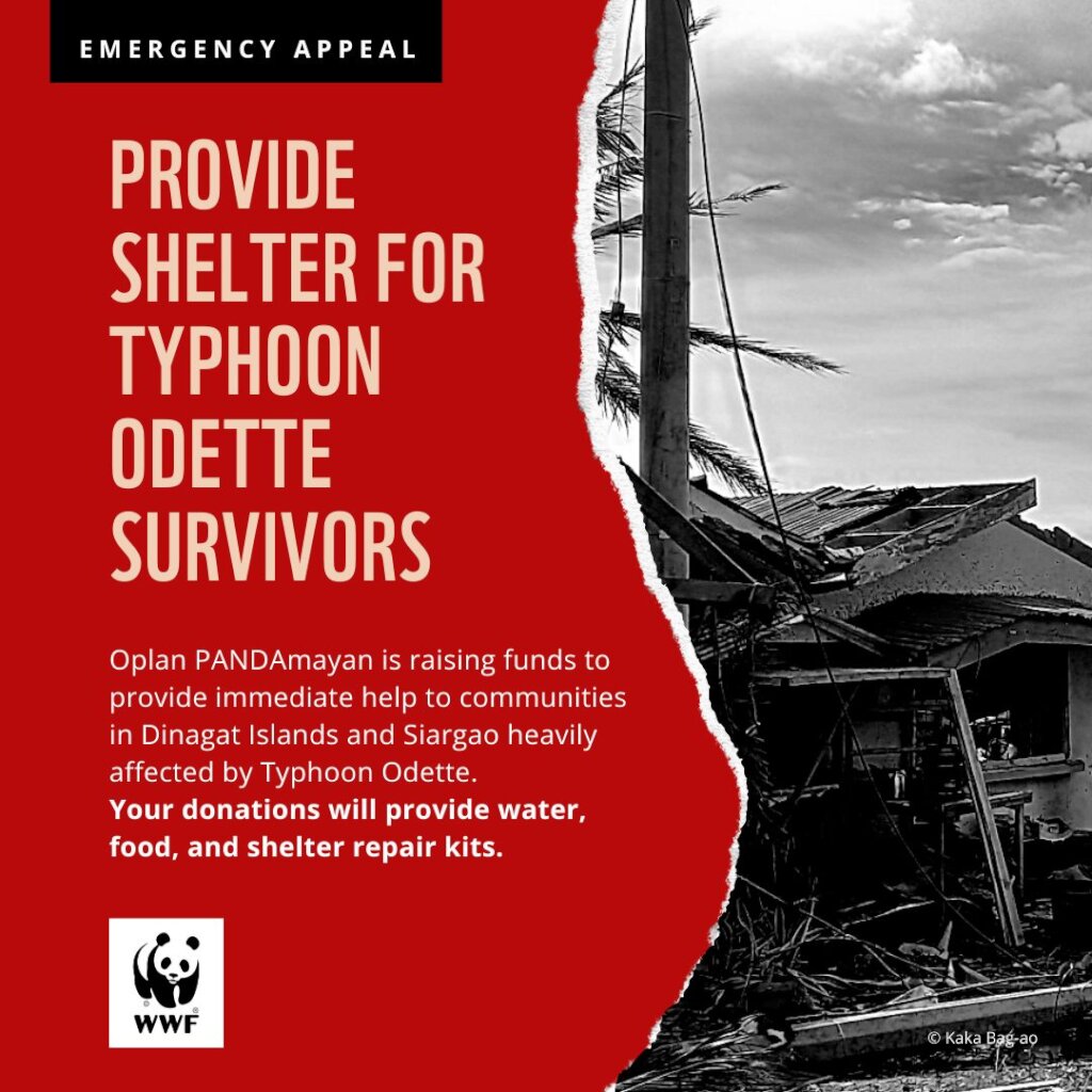 Survivors of Typhoon Odette/Kai Emergency Appeal